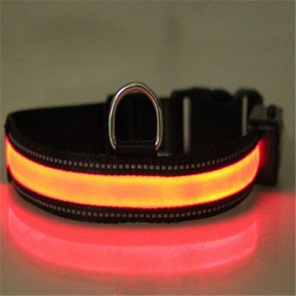 Fluorescent dog collar - Image 6