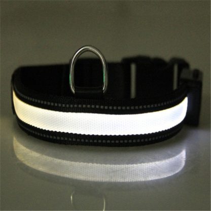 Fluorescent dog collar - Image 2