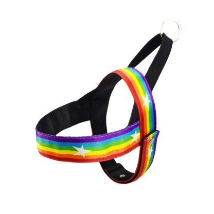 Rainbow cool dog chain dog leash - Image 7