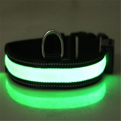 Fluorescent dog collar - Image 3