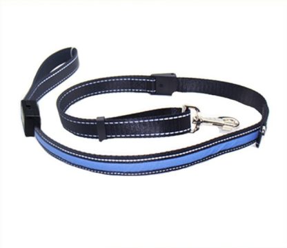 Fluorescent dog collar - Image 8