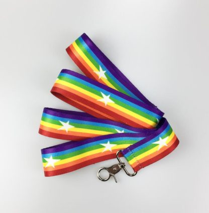 Rainbow cool dog chain dog leash - Image 8