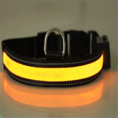 Fluorescent dog collar - Image 7