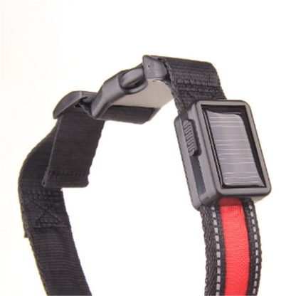 Fluorescent dog collar - Image 4