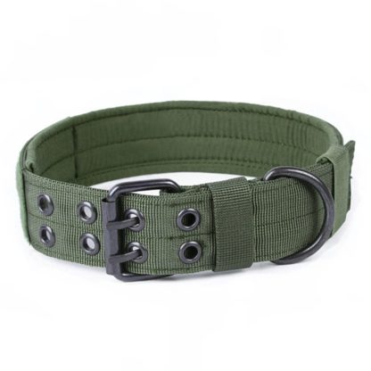 Nylon Anti-grind Dog Leash Collar - Image 2