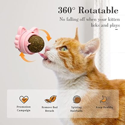 Catnip Balls That Stick On Wall Catnip Balls For Cat Catnip Toys For Cats Healthy Kitty Teeth Cleaning Dental Chew Toys Cat Wall Treats - Image 5