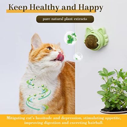 Catnip Balls That Stick On Wall Catnip Balls For Cat Catnip Toys For Cats Healthy Kitty Teeth Cleaning Dental Chew Toys Cat Wall Treats - Image 4