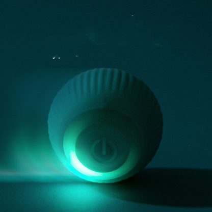 USB Rechargeable Gravity Electric Rolling Ball Electric Cat Toy - Image 7